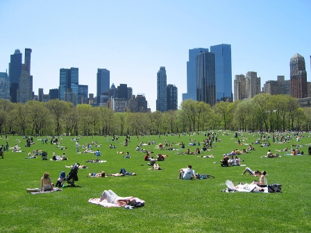 Law of attraction - central park