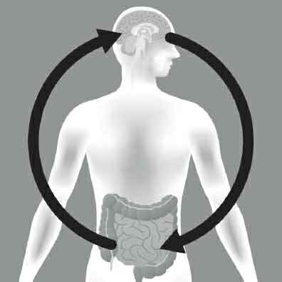 the gut