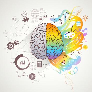 brain rules book