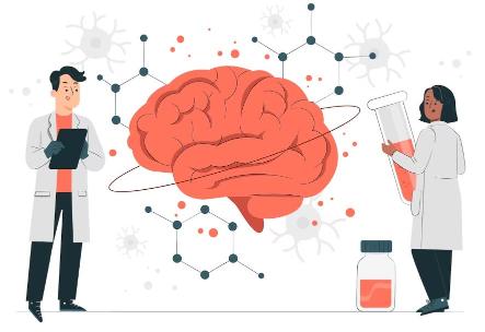 brain processing
